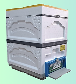 DGN-150-B (10'LU KOVAN-KAT)