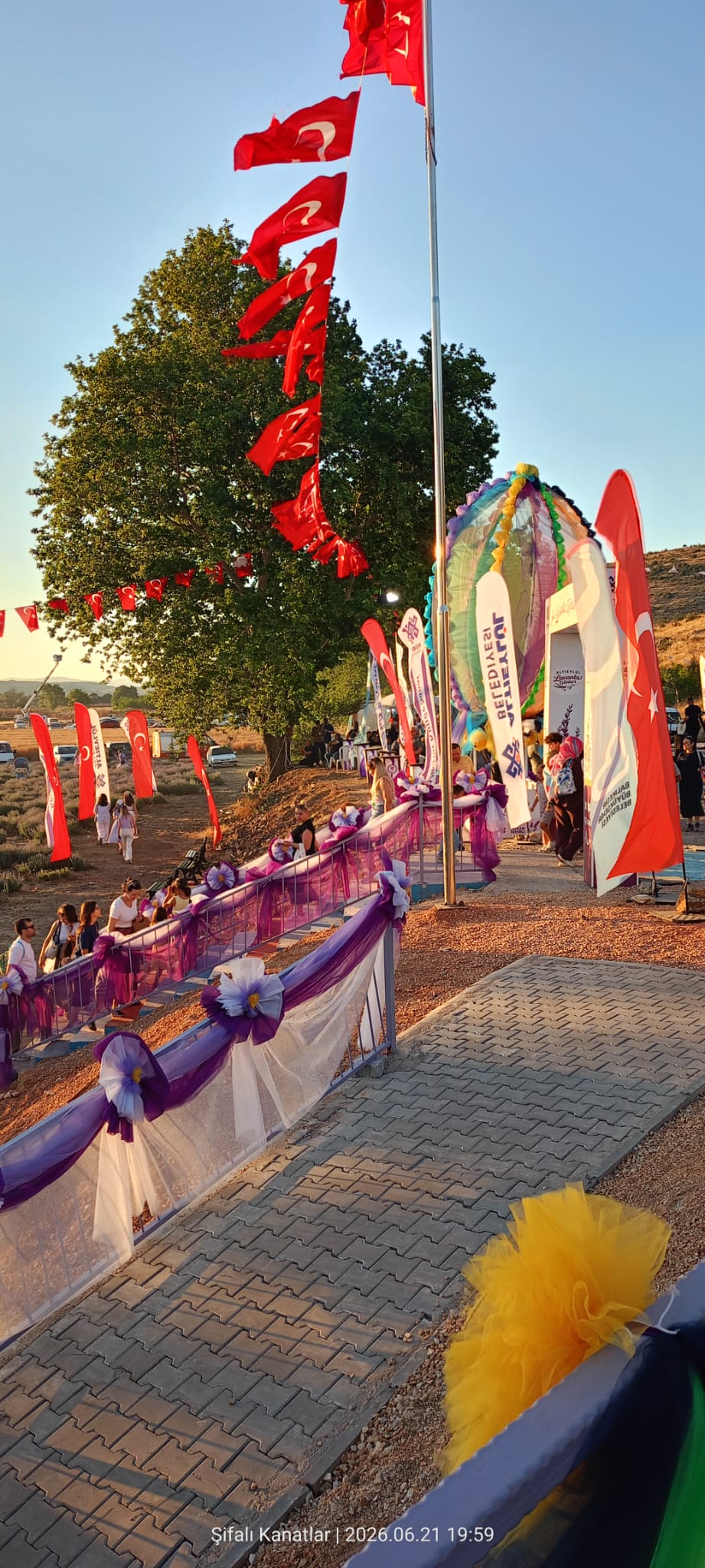 4. Altıeylül Lavanta Günleri Şifalı Kanatlar